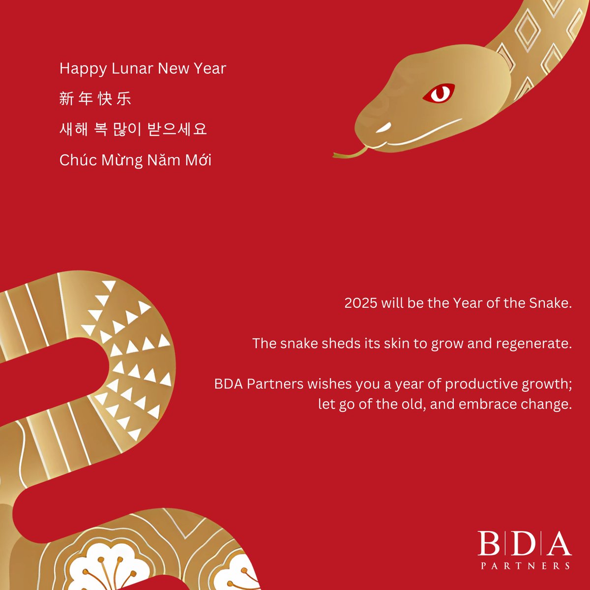 BDAPartners's tweet photo. Out with the old, in with the new. Happy Year of the Snake from all of us at BDA Partners.

#BDAPartners #LunarNewYear https://t.co/eMtaUTjvOp