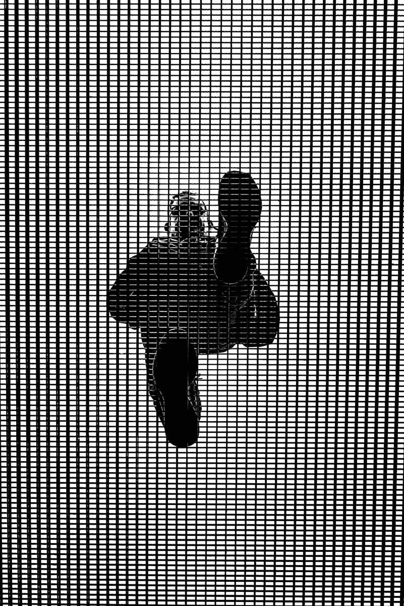 CameraLab tweet media