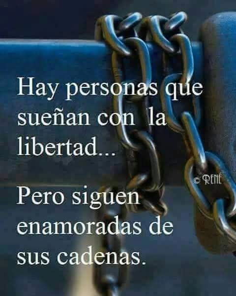 lll lll (@carlosadalessio) on Twitter photo 