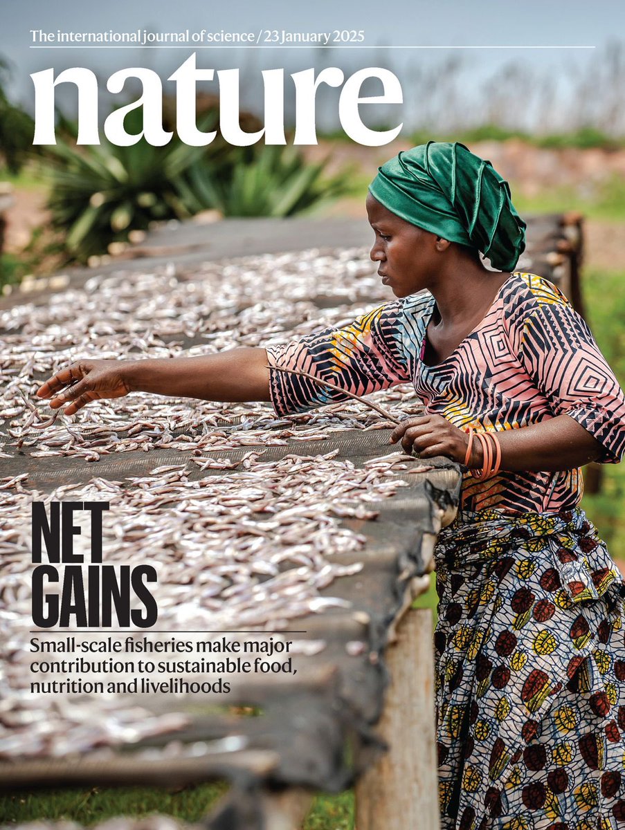 TODAY! <a href="/FAOfish/">Fisheries & Aquaculture</a> #SmallScaleFisheries co-led paper featured in today's cover of <a href="/Nature/">nature</a> . Take a look at some of the results in numbers:
 
🐟Global SSF production: 37.3 million tonnes (25.1 marine; 12.2 inland), with Asia contributing > 65 % to global SSF catch
🦐 SSF catch