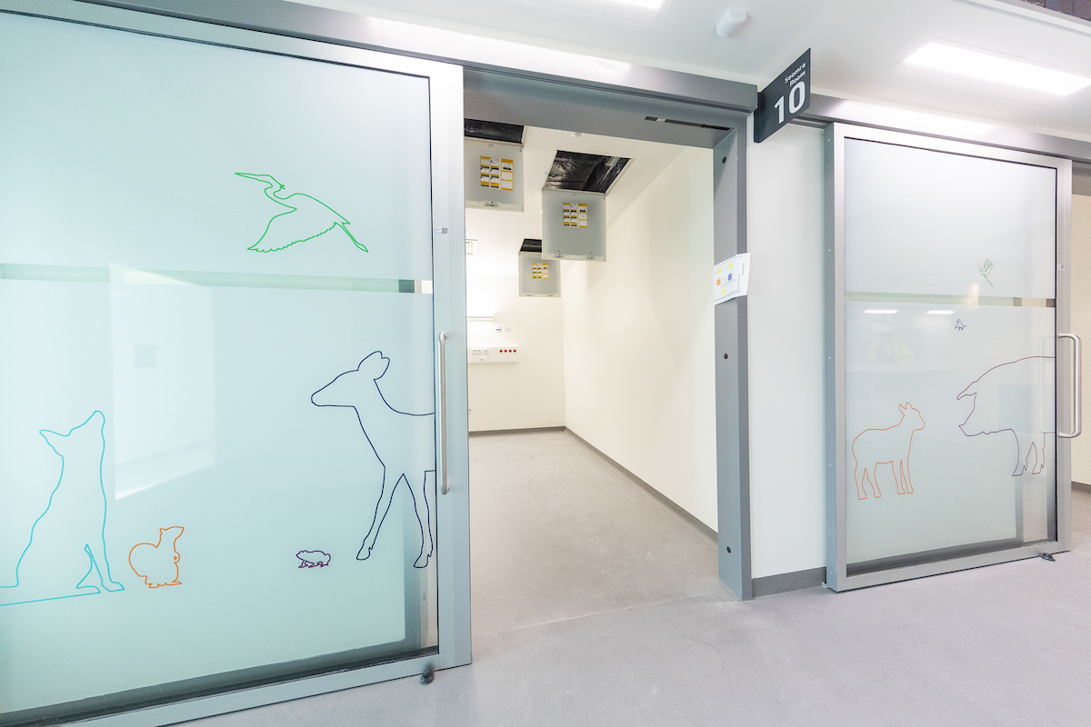 Great to see child-centric design become a reality at #ourchildrenshospital.

Check out some of the milestones from last year, including the biome (pic 1) &amp; elevated helipad (pic 2) &amp; artwork installation (pics 3+4).