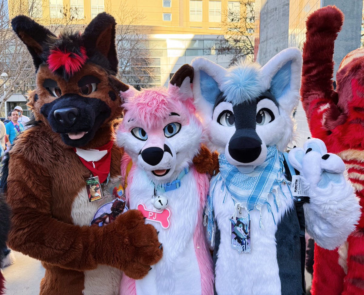 pjfoxes 🦊 🩷 tweet media