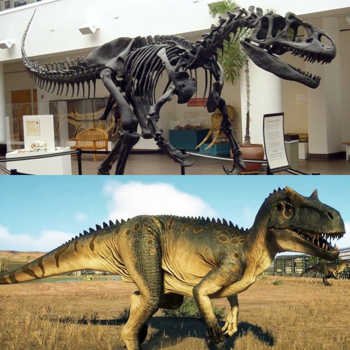 Jurassic Forever: Allosaurus

#JurassicWorldRebirth #Rebirth #JurassicWorldDominion #dinosaurs #paleoart #jurassic #animals #nature #dino #dinosaur #fossil #paleontology #paleontologist #jurassicpark #jurassicworld #Allosaurus  #theropod #thelostworld #jurassicpark3 #predator