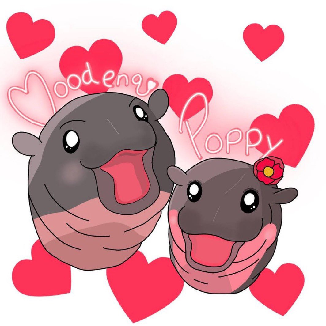 dsbcrypto's tweet image. i full ported my jup into $poppy to get that sweet nft airdrop theyre doing 

ps. poppy is $moodengs cousin