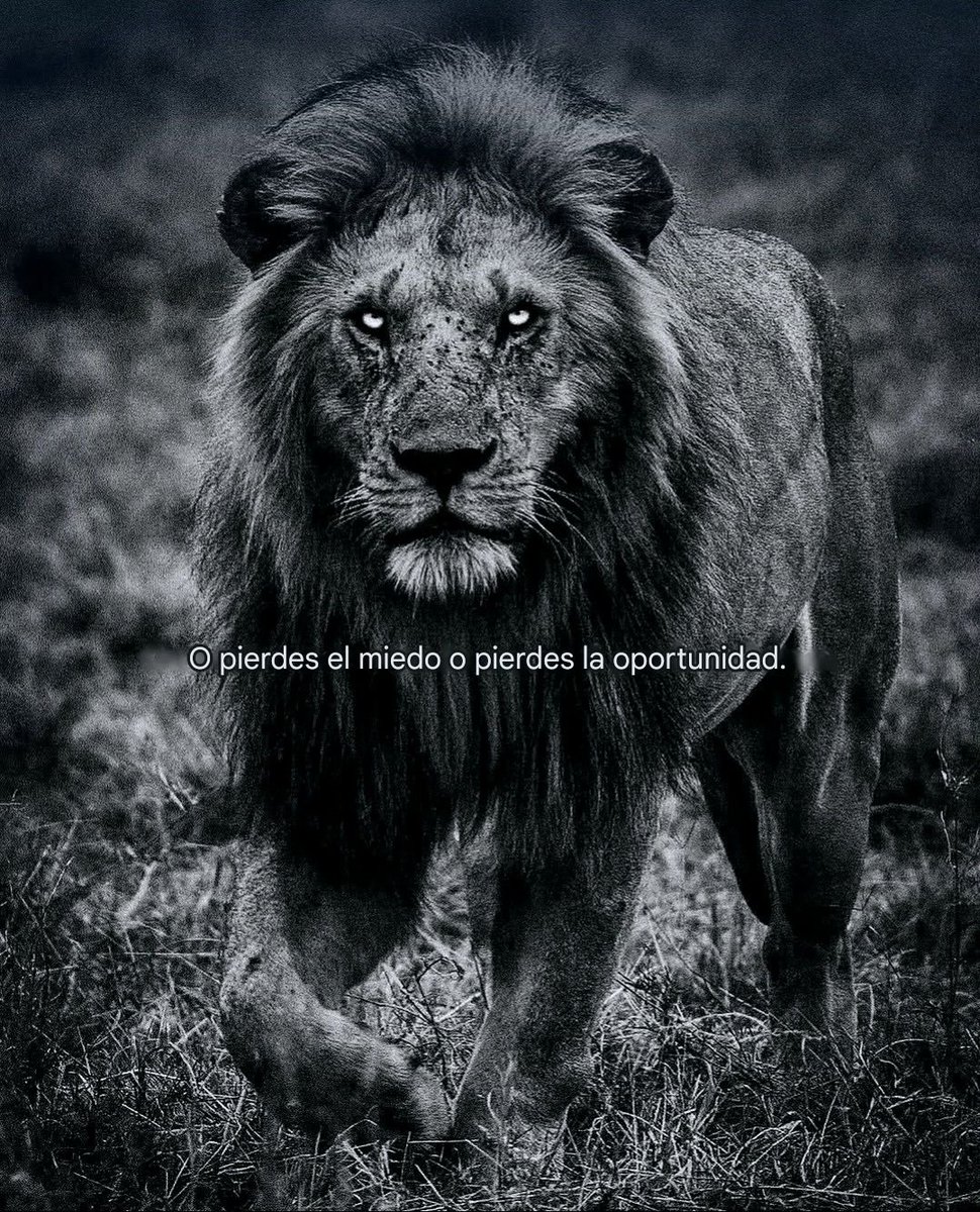 BANDIDOS (@bandidosfrasess) on Twitter photo 