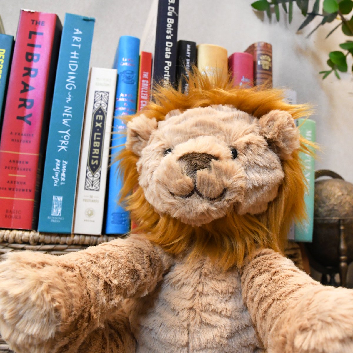 nyplshop's tweet image. Did you hear? It's #LibraryShelfieDay! 📚🤳 Share your favorite books and library shelves with the world!