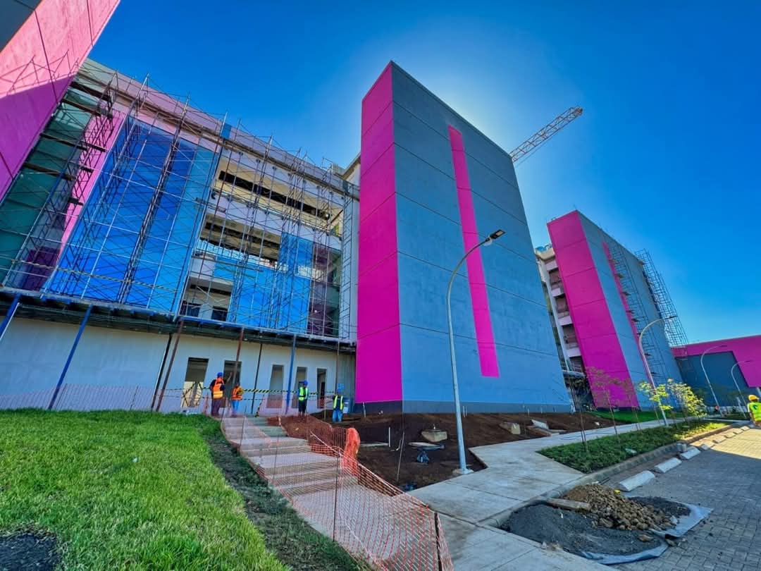 TaniaSandinista tweet media