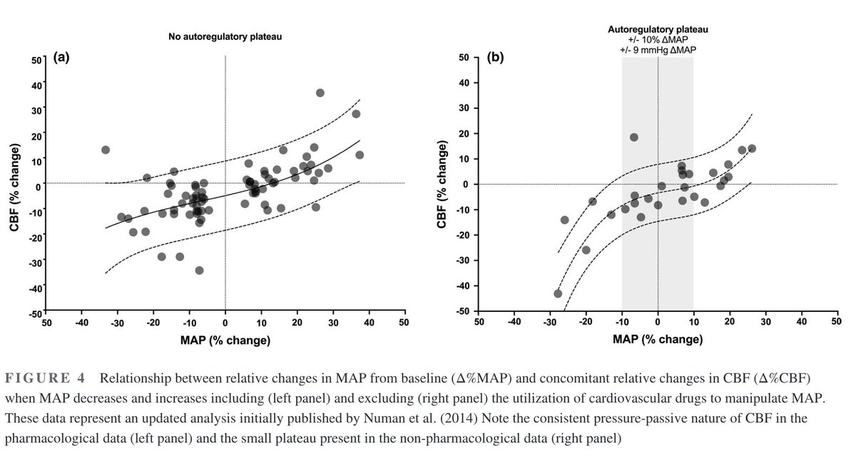 Patrice Brassard, PhD (@pat_brassard) on Twitter photo Our perspective on dCA now included in the latest edition (2024) of Miller's Anesthesia !
Have a look at our piece in <a href="/PhysRep/">Phys Reports</a> and don't be shy to share it !
physoc.onlinelibrary.wiley.com/doi/10.14814/pā¦
<a href="/jonathan_smirl/">Jonathan Smirl</a> <a href="/RyanLeoHoiland/">Ryan Hoiland</a> <a href="/LawrenceLabrecq/">Lawrence Labrecque</a> <a href="/caldwellhannah7/">Hannah Caldwell</a> Our perspective on dCA now included in the latest edition (2024) of Miller's Anesthesia !
Have a look at our piece in <a href="/PhysRep/">Phys Reports</a> and don't be shy to share it !
physoc.onlinelibrary.wiley.com/doi/10.14814/pā¦
<a href="/jonathan_smirl/">Jonathan Smirl</a> <a href="/RyanLeoHoiland/">Ryan Hoiland</a> <a href="/LawrenceLabrecq/">Lawrence Labrecque</a> <a href="/caldwellhannah7/">Hannah Caldwell</a>
