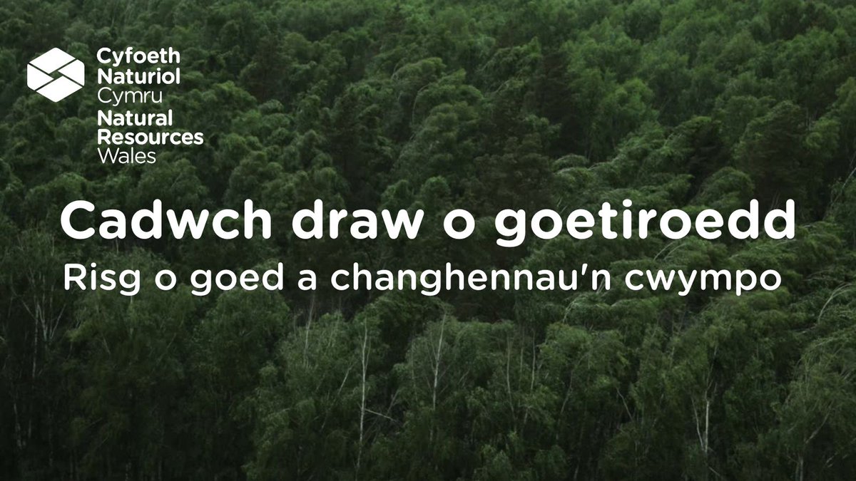 Cyfoeth Naturiol Cymru | Natural Resources Wales tweet media