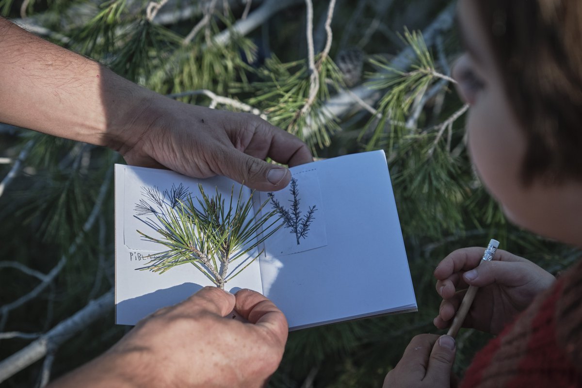 💚El 26 de gener celebrem el #DiaMundialEducacióAmbiental. La conscienciació ciutadana, clau per avançar cap a la sostenibilitat ambiental
👏Sabies que la <a href="/diba/">Diputació de Barcelona</a>  és pionera en l’educació ambiental a Catalunya?
ℹ️ parcs.diba.cat/web/l-informat…