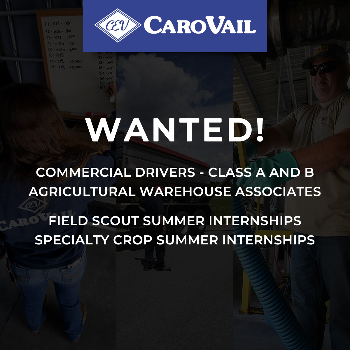 CaroVail's tweet photo. We want to see you here!

Build a rewarding career with Carovail, where you'll find competitive pay, excellent benefits, and opportunities for growth.
#carovail #agriculture #vegetablegrower #CropMaintenance #warehouse #jobseekers #jobsnearme #jobs #jobsearch #jobsid #Internships https://t.co/zhNRN31SeT