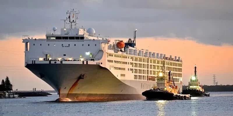 ▪️Türk işadamı dünyanın en büyük #gemisi için el sıkıştı. Fiyatı 51 milyon dolar!
Dünyanın en büyük canlı hayvan taşıma gemisini bir Türk şirket #Göktaşlar Et satın alıyor. Anlaşmanın bedelinin 51 milyon dolar olduğu ortaya çıktı.