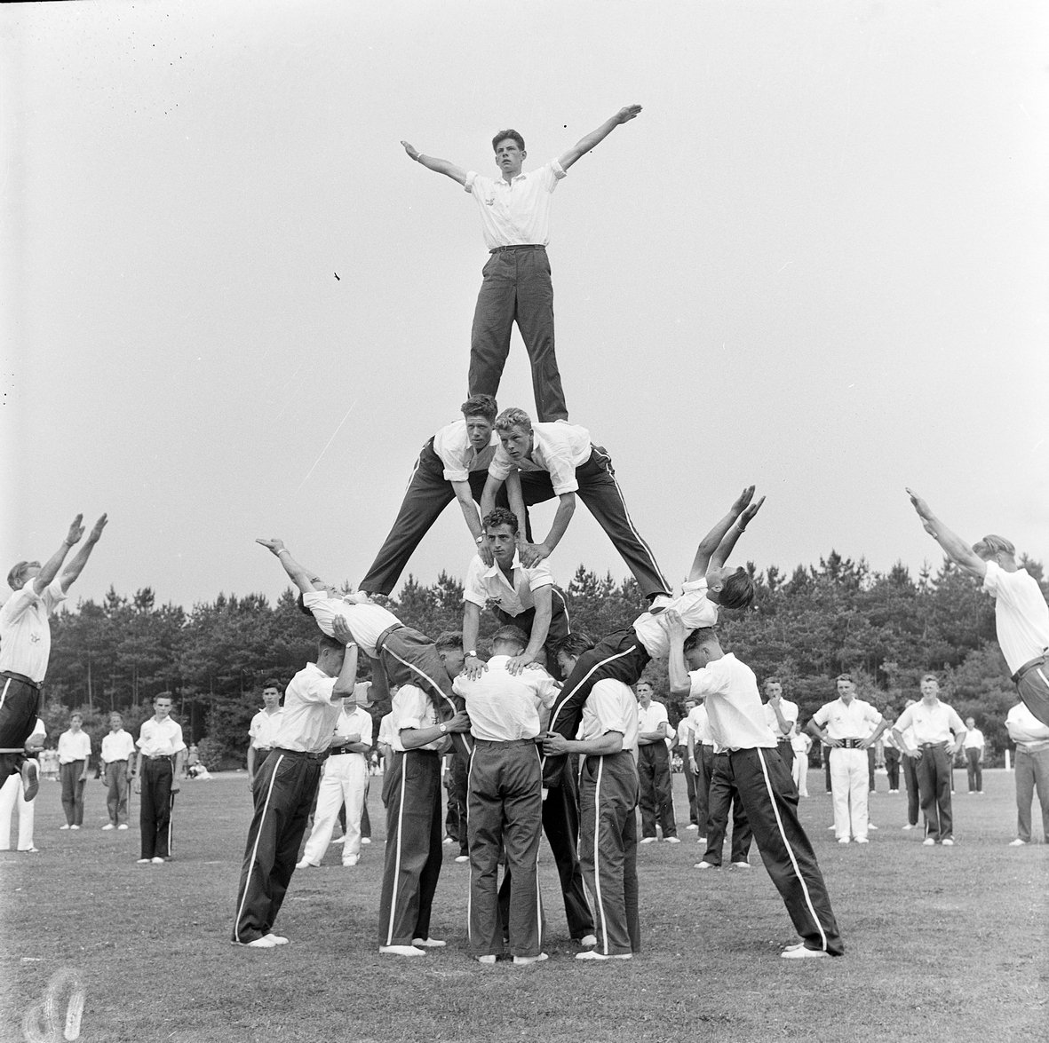Brabant-Collectie tweet media