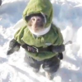 nyin🐈🛋️ tweet media