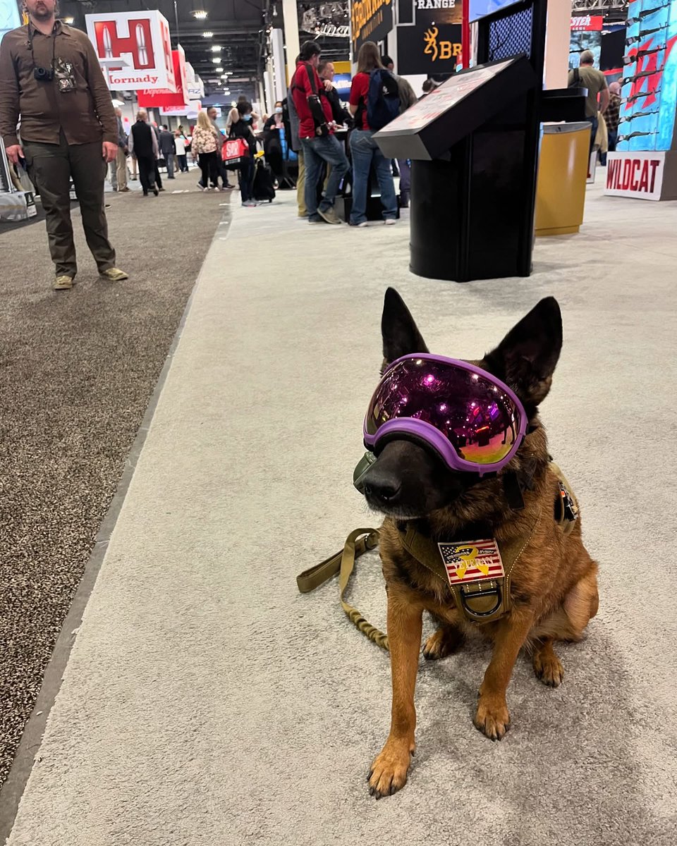 USCCA's tweet photo. GunsDotcom is out here covering the real stars of #ShotShow ...

The Pups ❤️❤️

1. Eir
2. Freedo (short for freedom)
3. Tora
4. Toto

#GunsDotcom #USCCA https://t.co/b43i5NZjJm