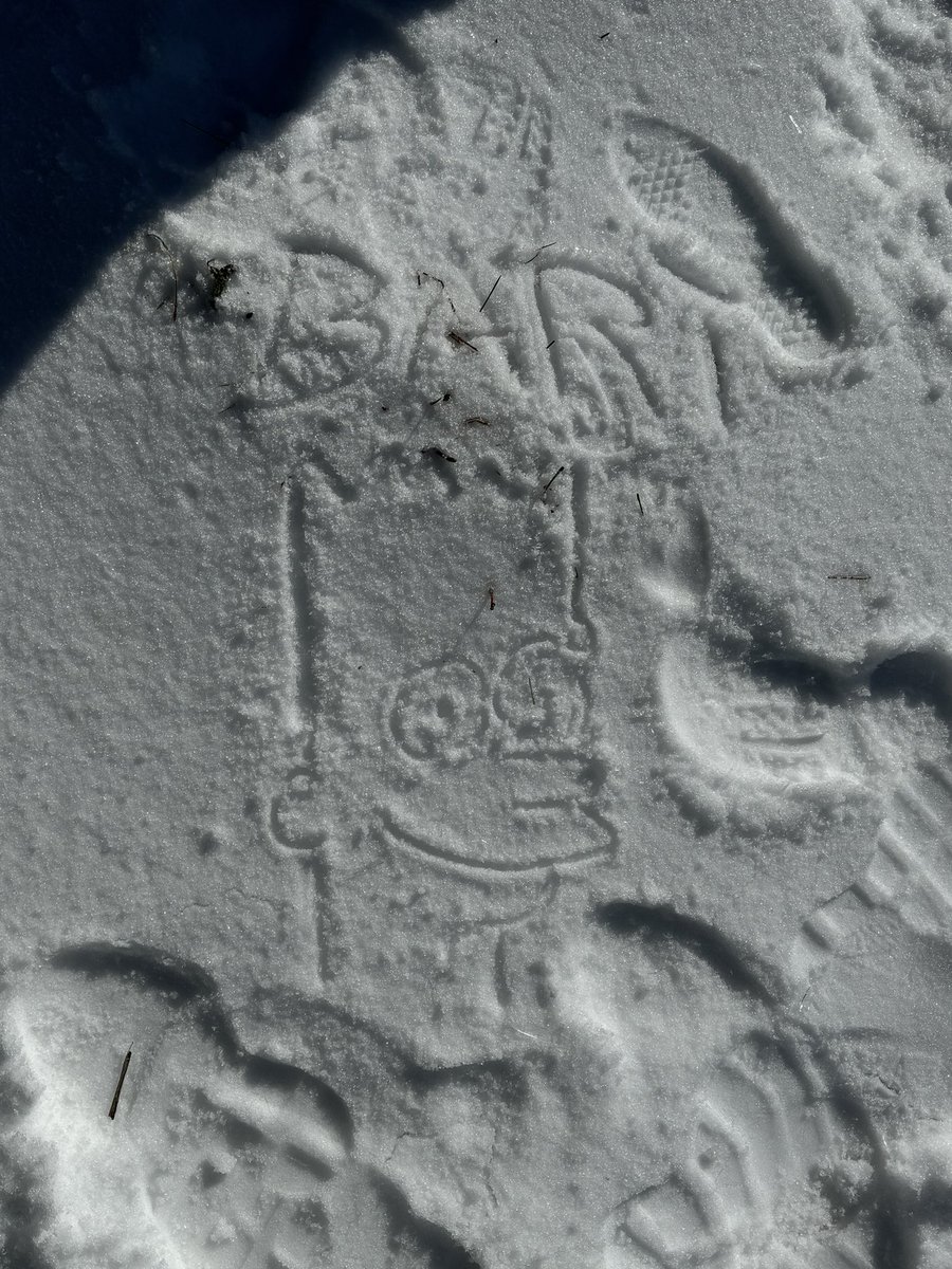 countmolloy's tweet photo. snow bart #snowbart https://t.co/AlL886diOM