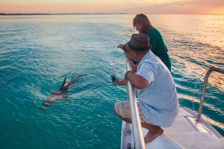 sweetescapetci's tweet photo. Spend your entire day on Sapodilla Bay Beach; it is a 900-foot (275-meter) stretched sheltered #beach. The crystal, clear blue water will blow the minds of #travelers. This #beach is an excellent choice for #families with kids. https://t.co/s1dZjfNFQD #SweetEscapeTCI #DirectBook https://t.co/7tJGGSEE6t