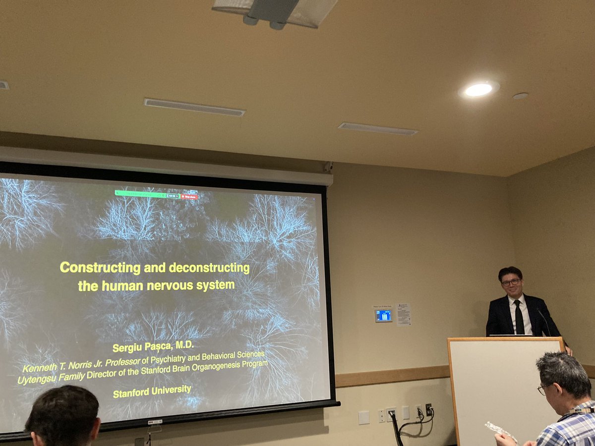 SciWhye23's tweet image. It’s always a treat when @Sergiu_P_Pasca comes to visit and detail his lab’s latest & greatest #innovation #cellscience #stemcell #cellmodels #neural #organoids #assembloids #neurodevelopment #diseasemodeling #neurodevelopmentaldisorders #autism #intellectualdisability