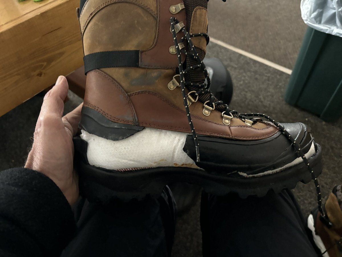 anamerican4ever's tweet photo. @proenzaschouler @sorelfootwear My experience with @sorelfootwear https://t.co/XfKg1WXqsw
