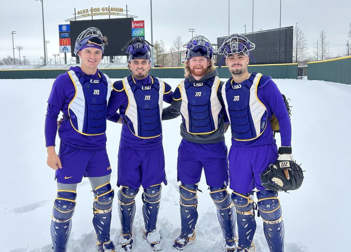 Stephen Schoch tweet media