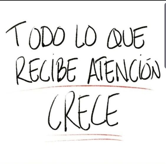 PropositoyVida's tweet photo. Para bien o para mal... https://t.co/1n4MaCRfxp