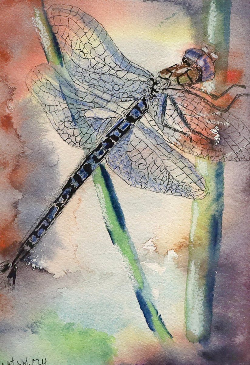 Drop-in (or fly in) to RAM’s Wustum Museum between 3:30 and 5:00 pm on Thursday, January 23 to make some gorgeous Watercolor Dragonflies and Butterflies, inspired by Laura Haberstroh’s Psychedelic Flyer from Watercolor Wisconsin 2024.

Learn more: ramart.org/education/free…