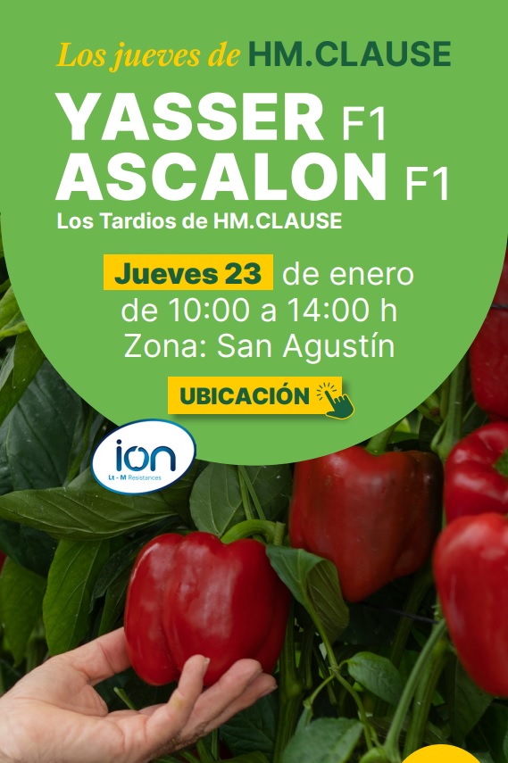 FHALMERIA's tweet image. Este jueves vamos a ver en campo 🌱los #pimientos 🫑  California para ciclo tardío #Yasser y #Ascalon

Son rojos 🔴, son de @HMCLAUSEIBERICA y son 🔝🔝🔝

📍 maps.app.goo.gl/YBPHJCkeZP8ank…