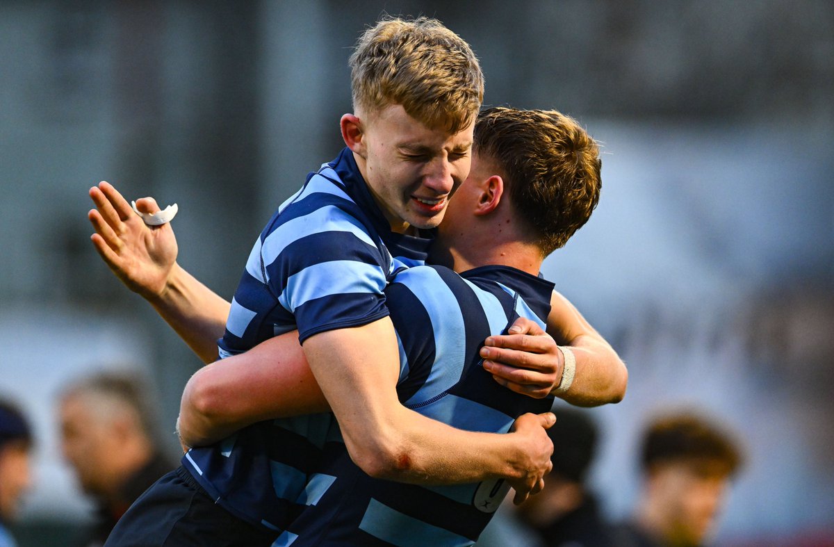 Leinster Domestic tweet media