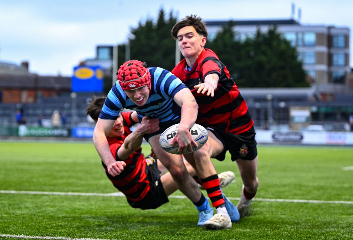 Leinster Domestic tweet media