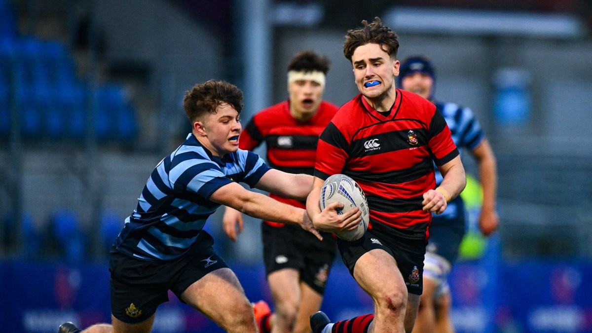 Leinster Domestic tweet media