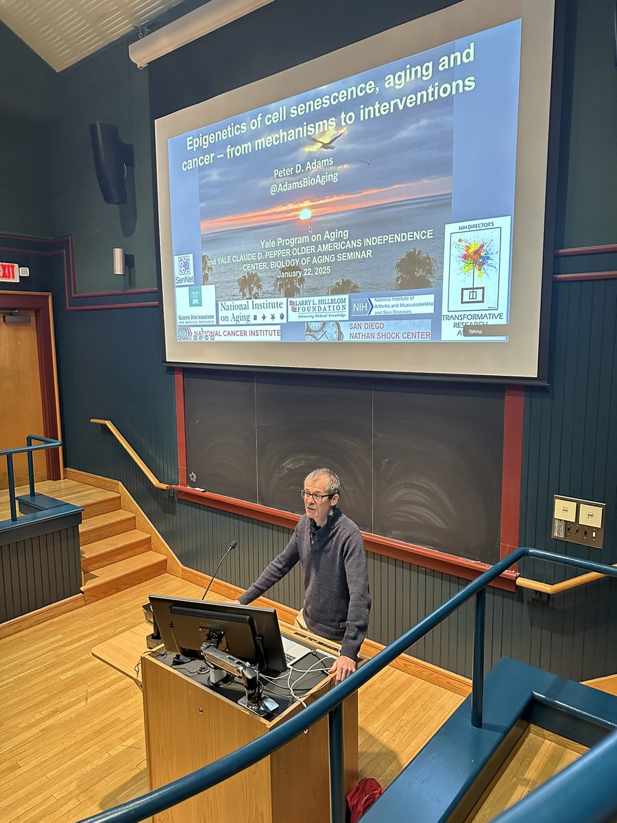 Rong Fan (@rongfan8) on Twitter photo Thrilled to have Dr. Peter Adams, <a href="/AdamsBioAging/">Peter Adams🇪🇺🇺🇳</a> , San Diego SenNet TMC PI, visiting us and giving a seminar on epigenetics in senescence, aging, and disease. 🤩🤩😒
<a href="/YaleAge/">Yale Center for Research on Aging (Y-Age)</a> <a href="/sennetresearch/">SenNet Consortium</a> <a href="/yalepathology/">Yale Pathology</a> Thrilled to have Dr. Peter Adams, <a href="/AdamsBioAging/">Peter Adams🇪🇺🇺🇳</a> , San Diego SenNet TMC PI, visiting us and giving a seminar on epigenetics in senescence, aging, and disease. 🤩🤩😒
<a href="/YaleAge/">Yale Center for Research on Aging (Y-Age)</a> <a href="/sennetresearch/">SenNet Consortium</a> <a href="/yalepathology/">Yale Pathology</a>