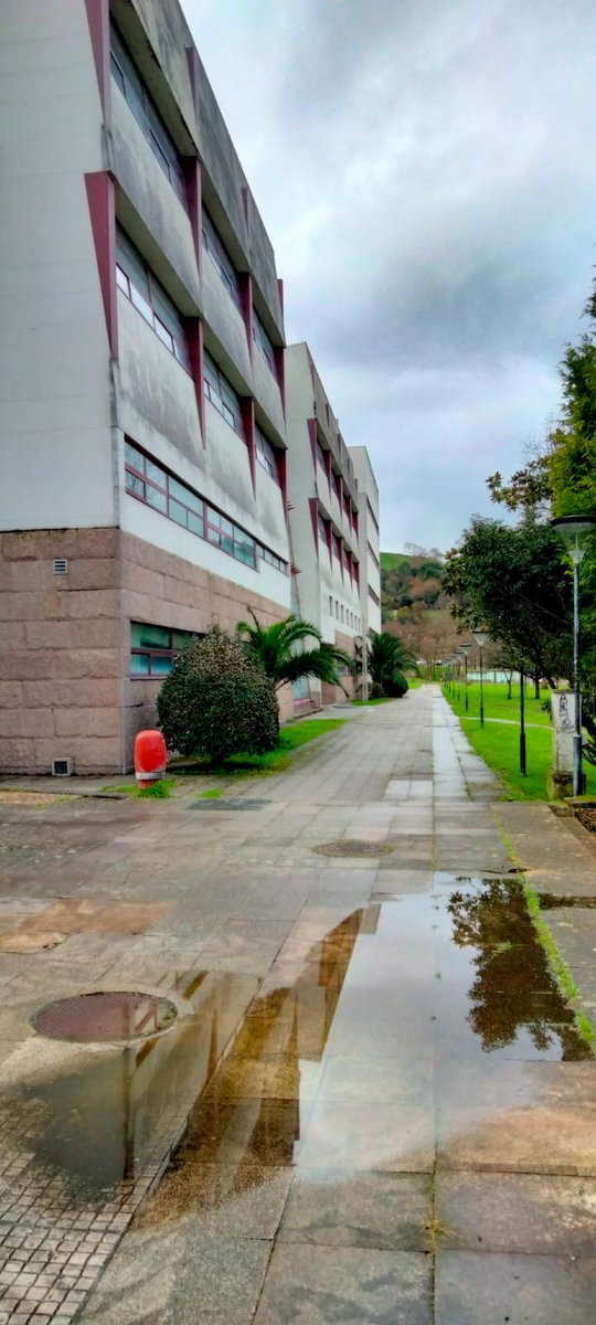 BiblioInf_UDC's tweet image. Nunca choveu que non escampara... Pero ao mal tempo, as mozas e mozos da @FIC_UDC sempre poñen boa cara, porque xa falta nada para rematar os #exames 💪🍀. #estudanabiblioteca