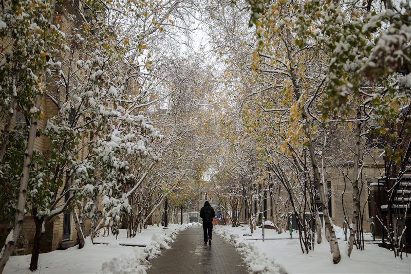 University of Toronto tweet media