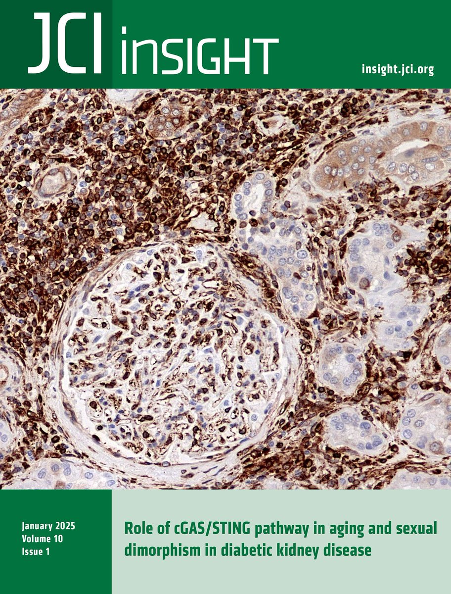 Alexander Staruschenko (@staruschenko) on Twitter photo Happy to share that our work is featured on the covers of the January 2025 issues of @JCI_Insight and <a href="/HyperAHA/">Hypertension</a>! Huge thanks to all the authors.
#ScienceCovers #ResearchSpotlight
Links to the manuscripts below:
insight.jci.org/articles/view/…
ahajournals.org/doi/full/10.11… Happy to share that our work is featured on the covers of the January 2025 issues of @JCI_Insight and <a href="/HyperAHA/">Hypertension</a>! Huge thanks to all the authors.
#ScienceCovers #ResearchSpotlight
Links to the manuscripts below:
insight.jci.org/articles/view/…
ahajournals.org/doi/full/10.11…