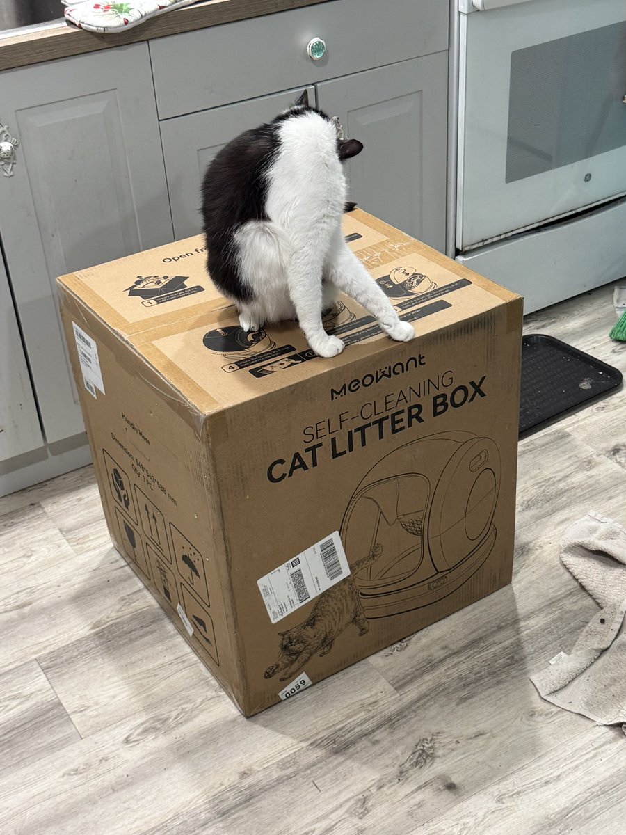 Loving the new litter box   Thank you to those who made it happen.   Looking forward to the next one