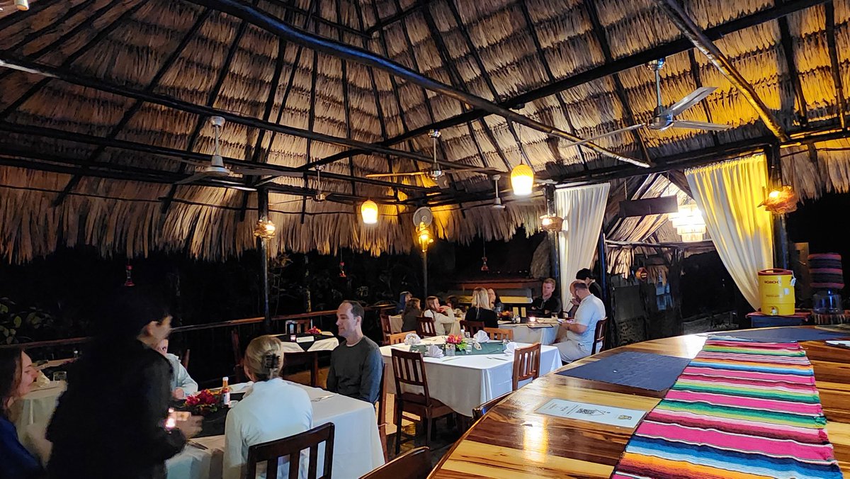 TableRockBelize's tweet photo. Amazing open-air dining and a great bar to boot! Join us at Table Rock and experience the magic of dining in the Belizean jungle✨️ https://t.co/iEYjXVnn5F