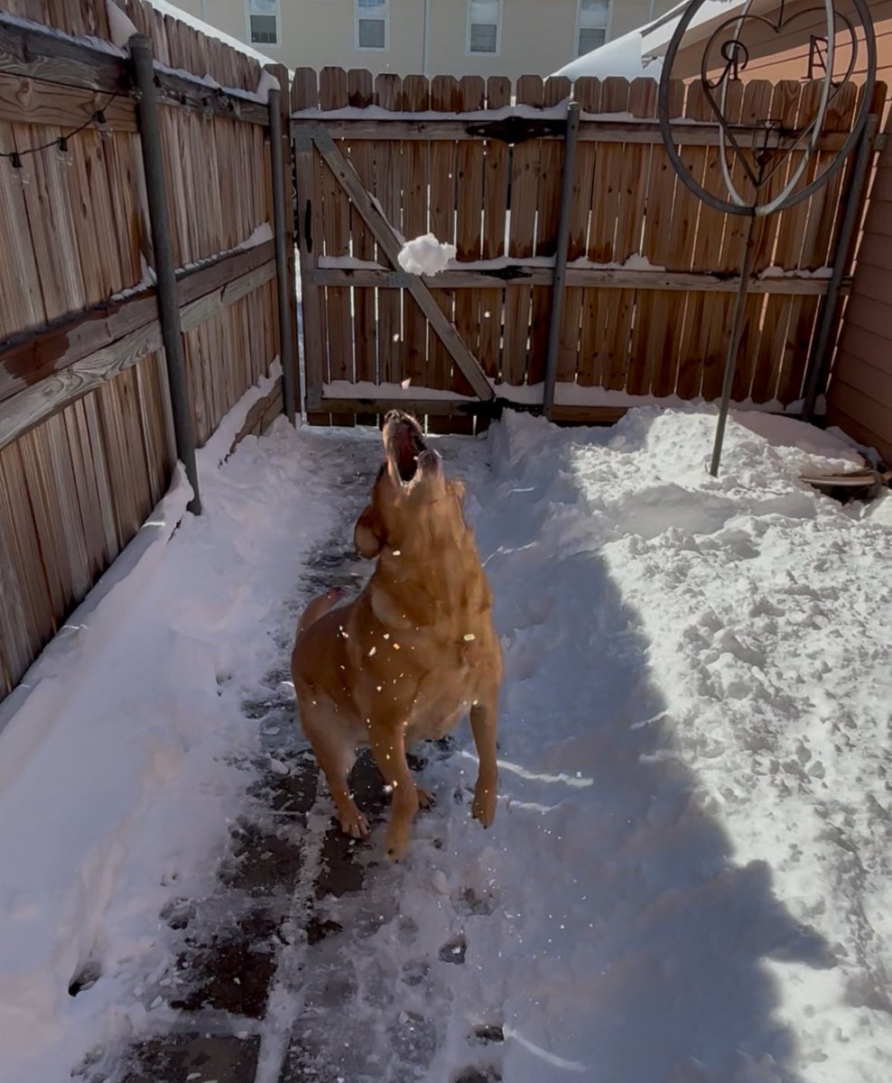 Allison Kersten tweet media