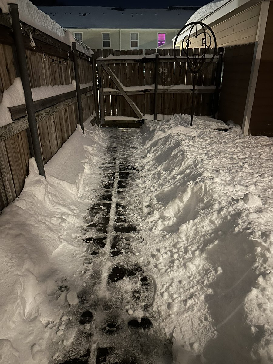 Allison Kersten tweet media