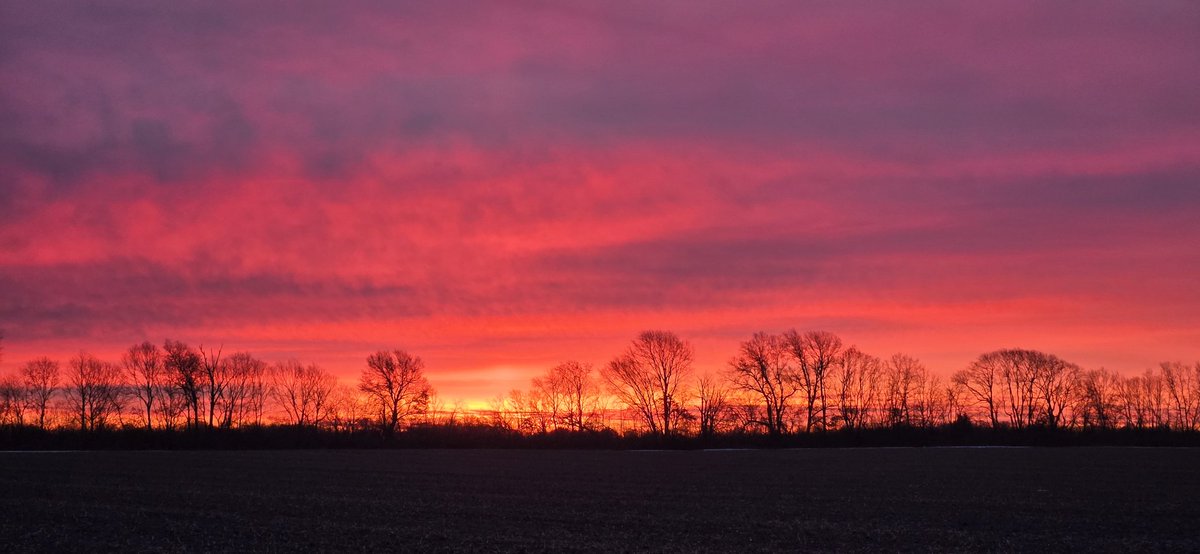 MCS Storms ⚡️🌪 tweet media