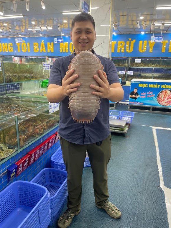 New species of giant isopod from Vietnam.

zookeys.pensoft.net/article/139335/