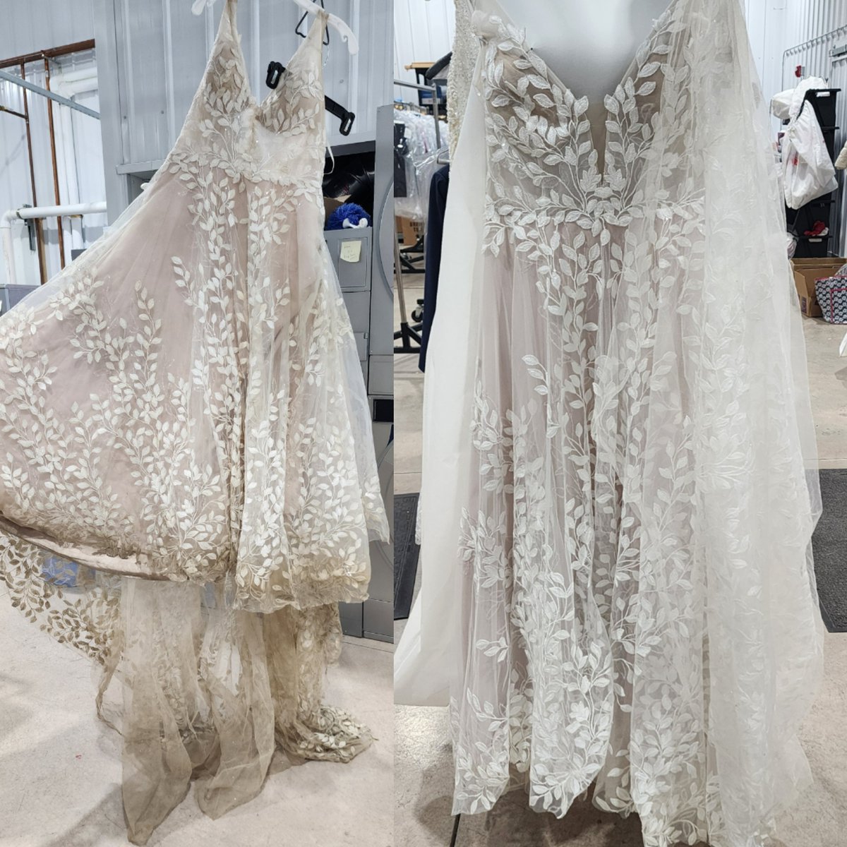 Eagle_Cleaners's tweet photo. Attention Brides! 👰💍 Before &amp; After Alert Your wedding gown deserves expert care. At Eagle Cleaners, we clean gowns in-house with precision to preserve delicate fabrics and intricate details. Trust us to prepare or preserve your cherished gown! ✨ #EagleCleaners #WeddingGowns https://t.co/cHh7VVAoXC