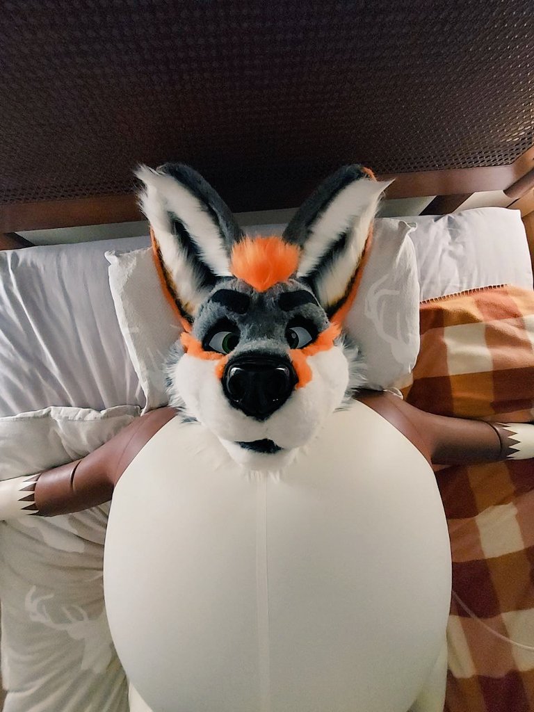 duginsqueak's tweet photo. Erm...halp! 🥴
#inflatablefurry #latexfur https://t.co/Q4dVPICs8m