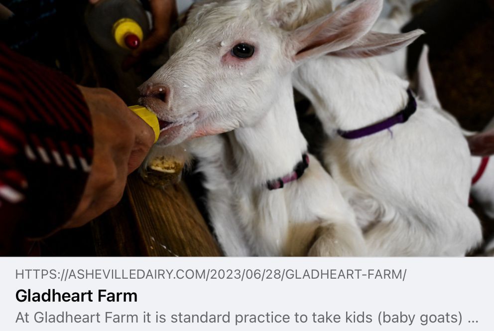 "At GladHeart Farm, it is standard practice to take kids (baby goats) from their mothers at birth, despite the deep maternal and familial bonds goats exhibit and would otherwise maintain for life."

Learn more about this so-called "humane" dairy 👉  buff.ly/3xgRbeX