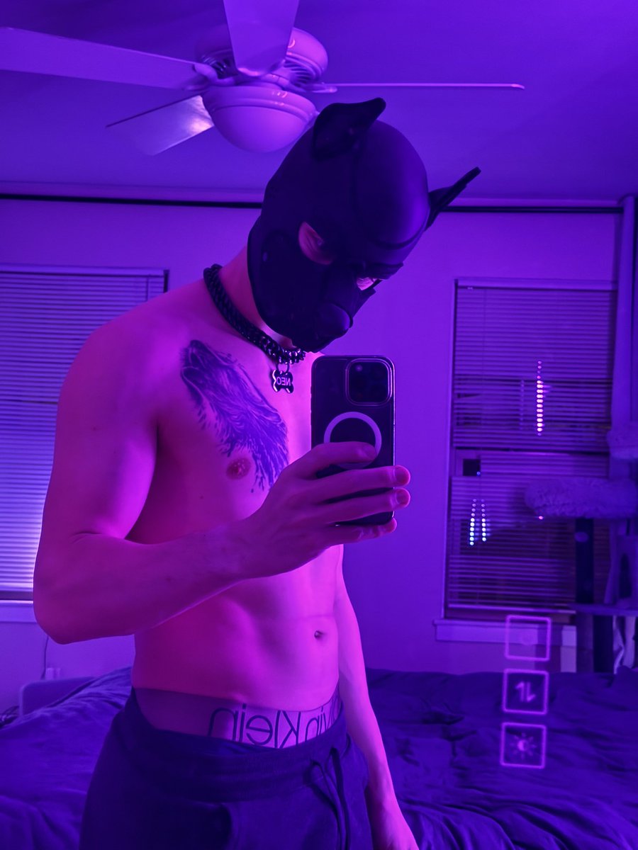 Dylan Starr (Neo) tweet media