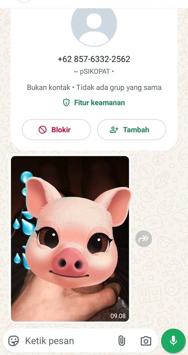 lestaryystrs1's tweet photo. @tanyakanrl aku juga baru dapat pap begitu tdi pagi 🥺
langsung aku blokir sih https://t.co/ixgh3rDp1D
