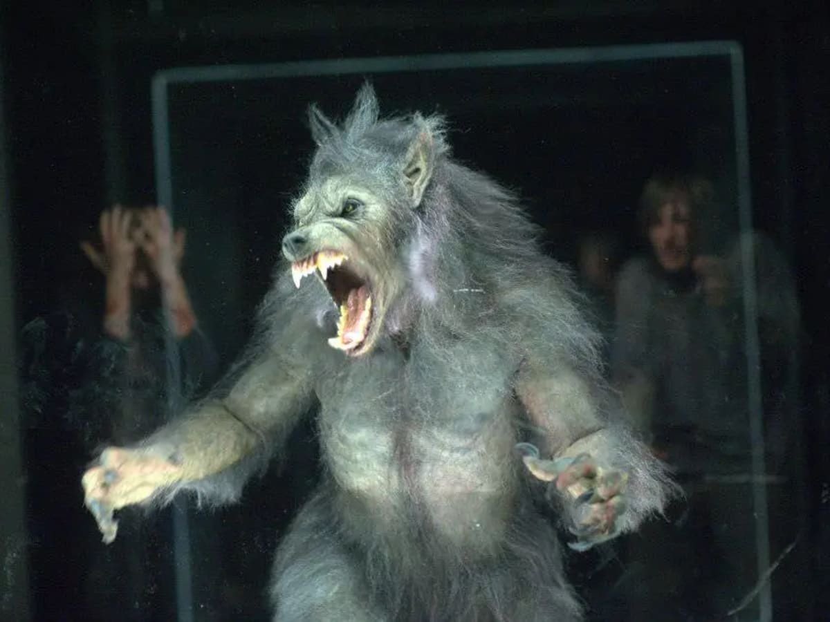 Robert Eggers is officially set to direct ‘WERWULF’ for Focus Features.

• Set in 14th Century England
• Releasing in theaters in Christmas, 2026.

(Via: Deadline)