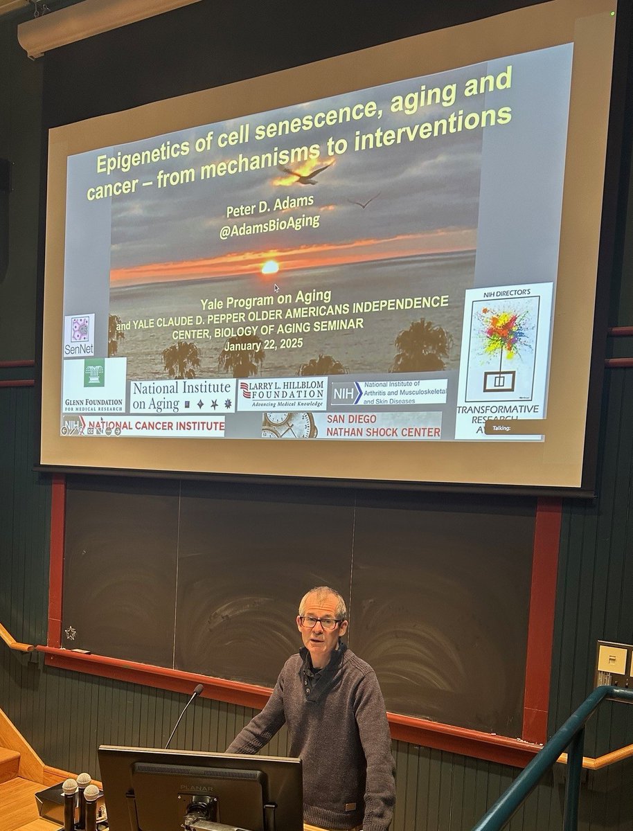 Yale Center for Research on Aging (Y-Age) (@yaleage) on Twitter photo Many thanks to Dr. Peter Adams, <a href="/AdamsBioAging/">Peter Adams🇪🇺🇺🇳</a>, San Diego SenNet TMC PI, for presenting at the Biology of Aging Seminar today on #epigenetics in #senescence, #aging, and disease. Many thanks to Dr. Peter Adams, <a href="/AdamsBioAging/">Peter Adams🇪🇺🇺🇳</a>, San Diego SenNet TMC PI, for presenting at the Biology of Aging Seminar today on #epigenetics in #senescence, #aging, and disease.
