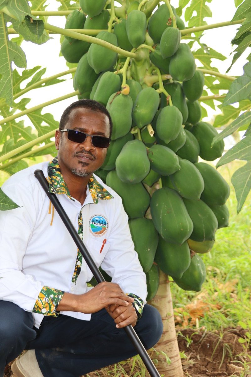 Hared Hassan Adan, Lt Col (Rtd), SS, MBS tweet media