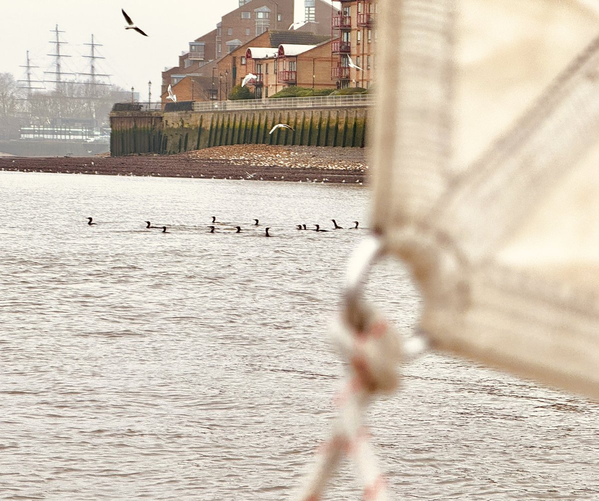 Miguel d'Oliveira tweet media