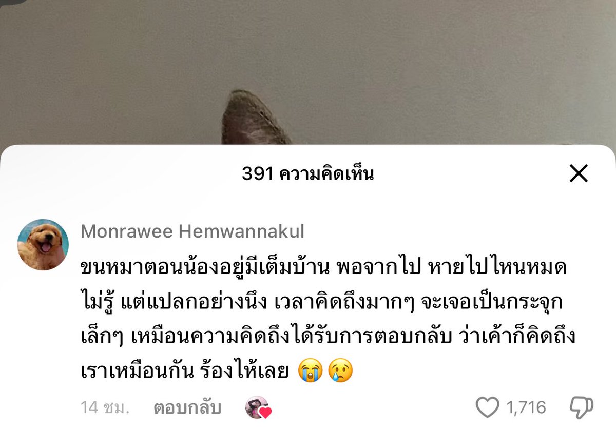 จองชุดฝากถวาย ทักไลน์ @ ค่า 🕉🕉 tweet media